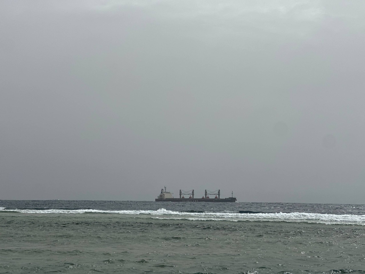    Фото: Бриф24