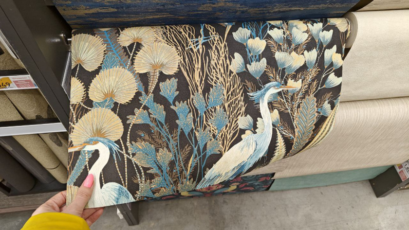    Первый городской канал Калининград