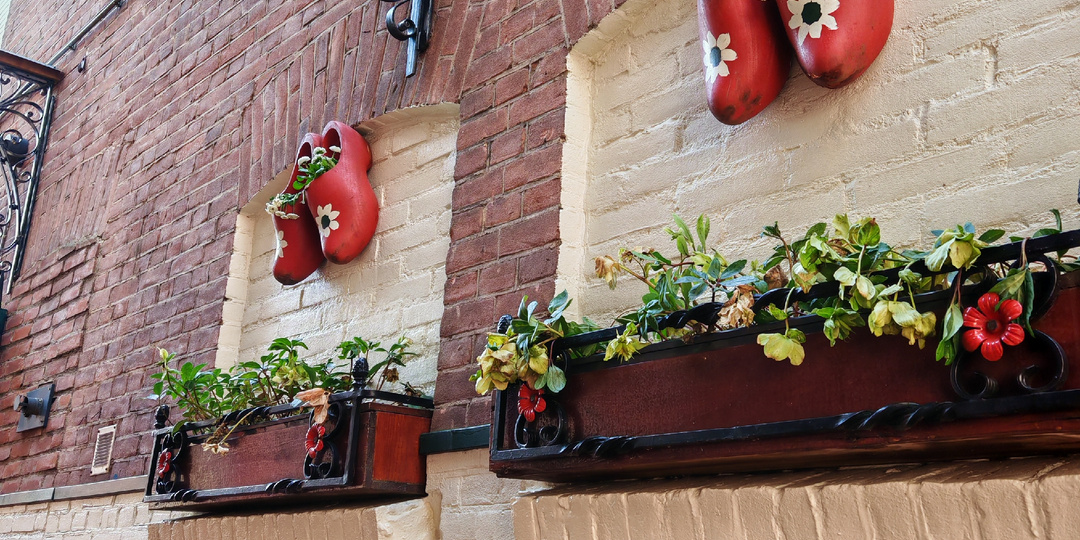 Изменения в Нидерландах. Что лучше там, а что лучше в России.