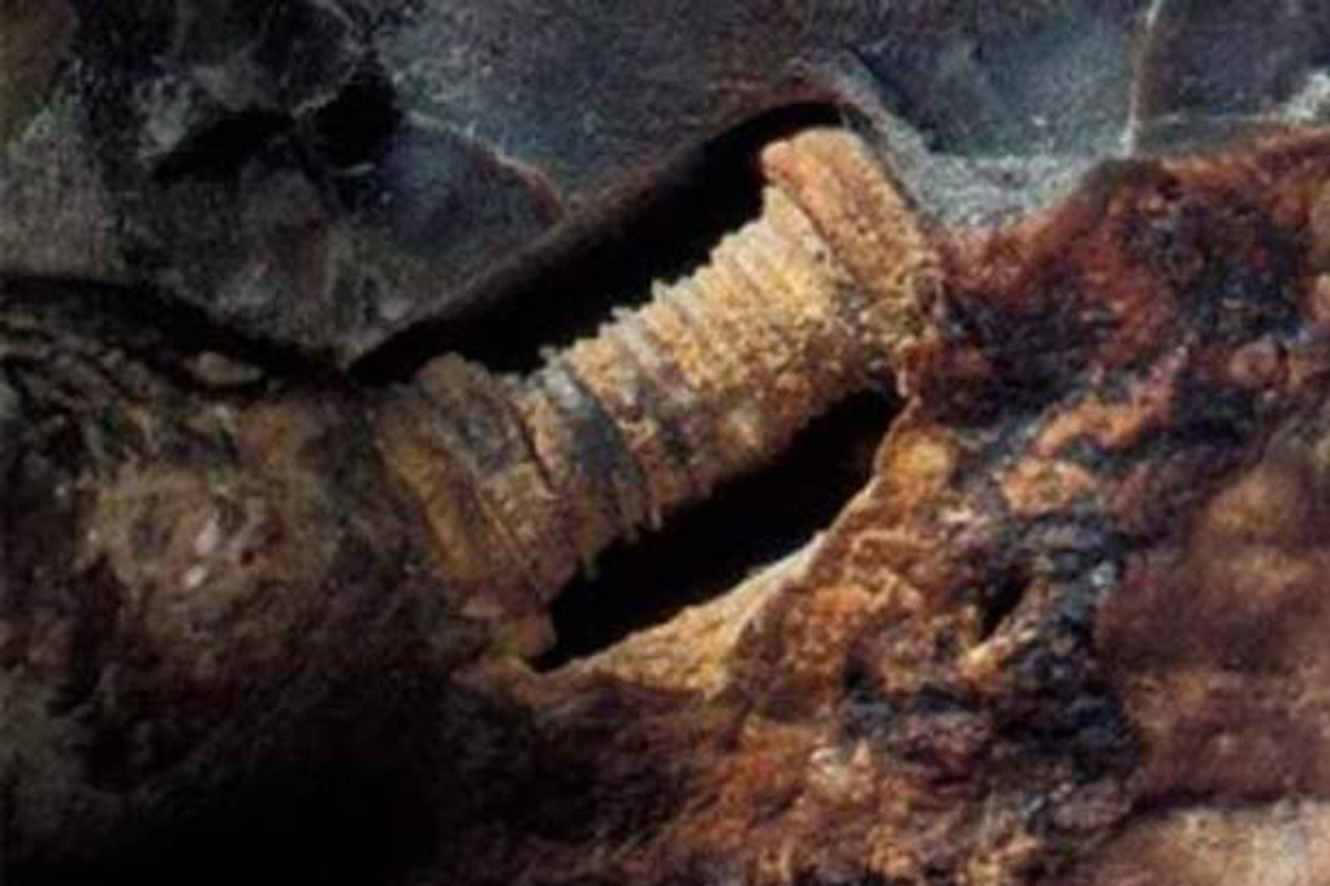 Болт, которому 300 миллионов лет!