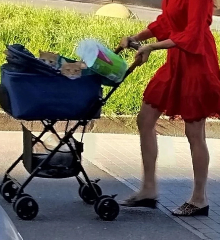 © Kamyshovaja / Pikabu