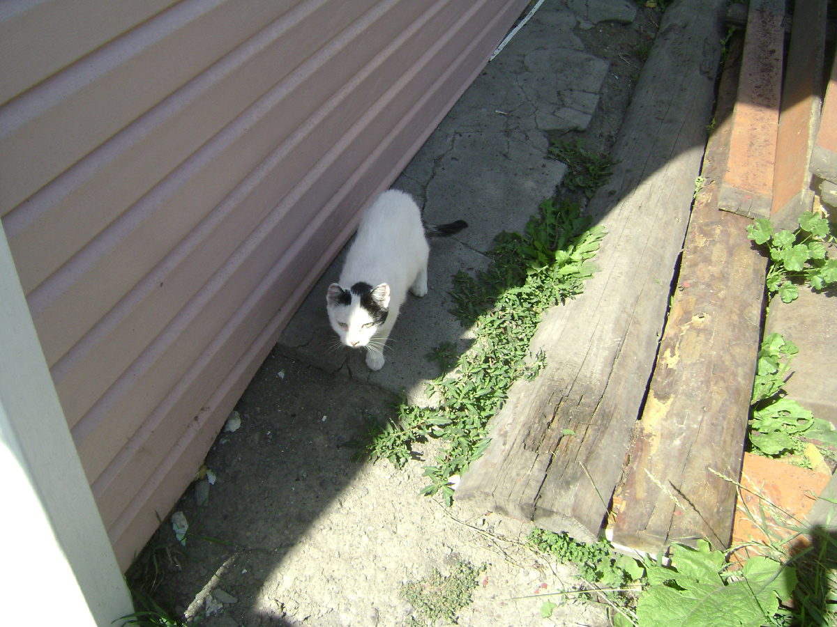 Маша. Фото Инги.