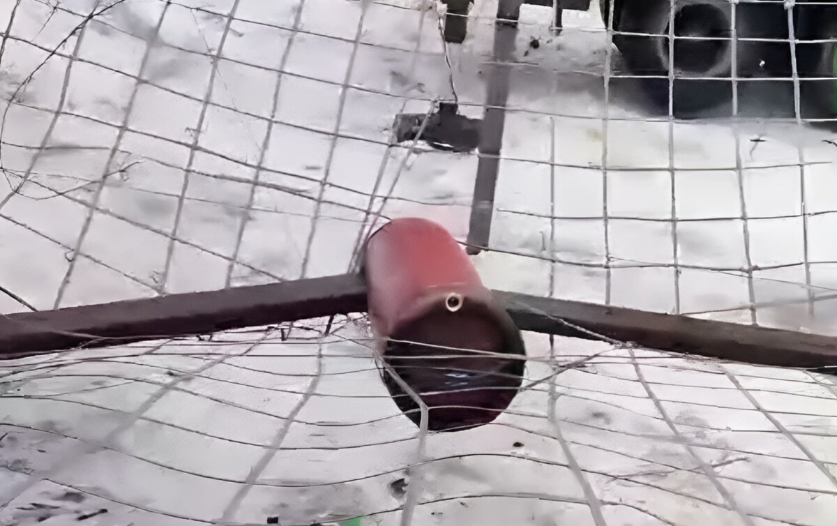     Сеть против БПЛА выдержала падение снаряда весом 140 кг