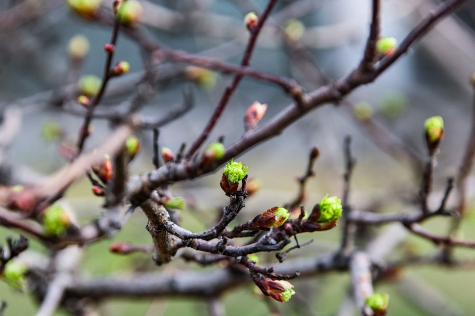    Сергей Лантюхов/NEWS.ru