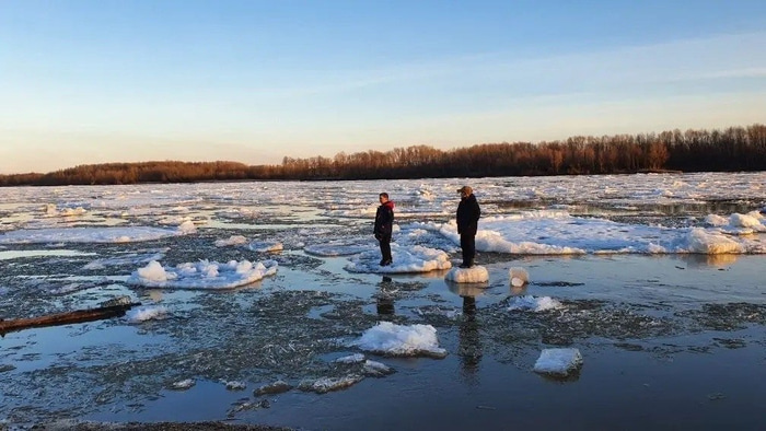    Фото: t.me/ghest_omska