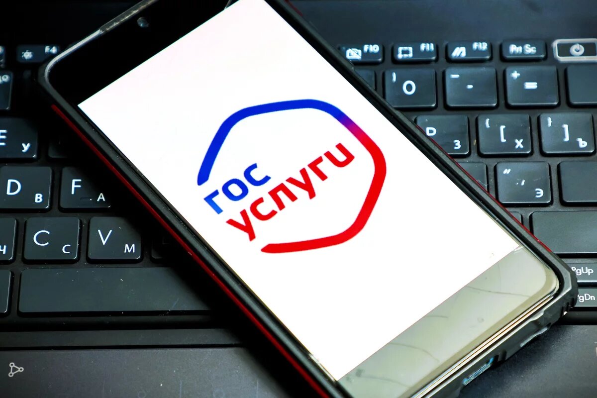    Нижегородцы смогут оценить работу больниц и школ через «Госуслуги»