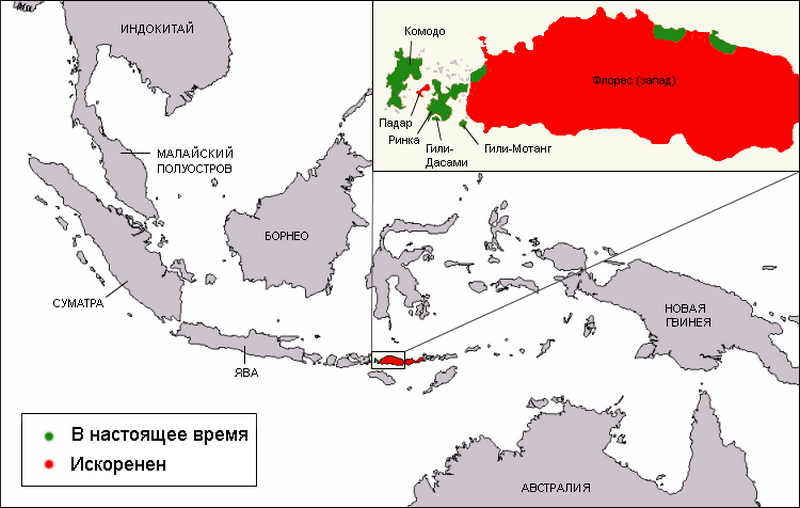 из открытых источников