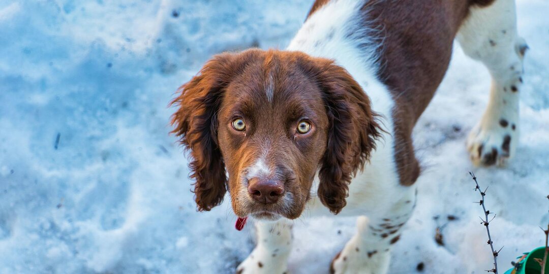 Не бросить в беде