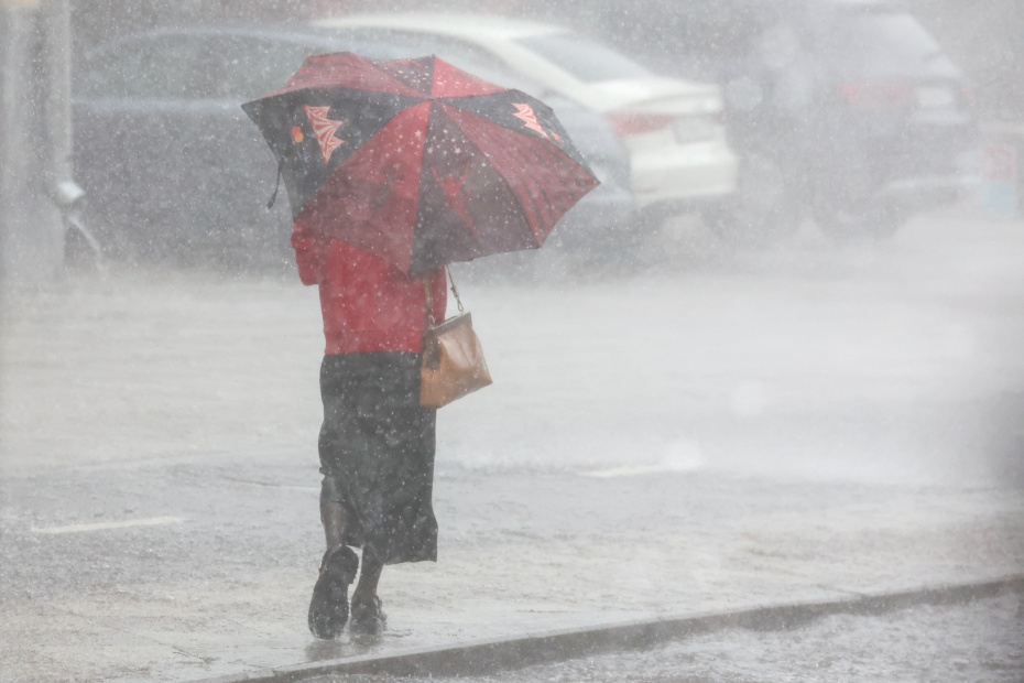    Алексей Белкин/NEWS.ru