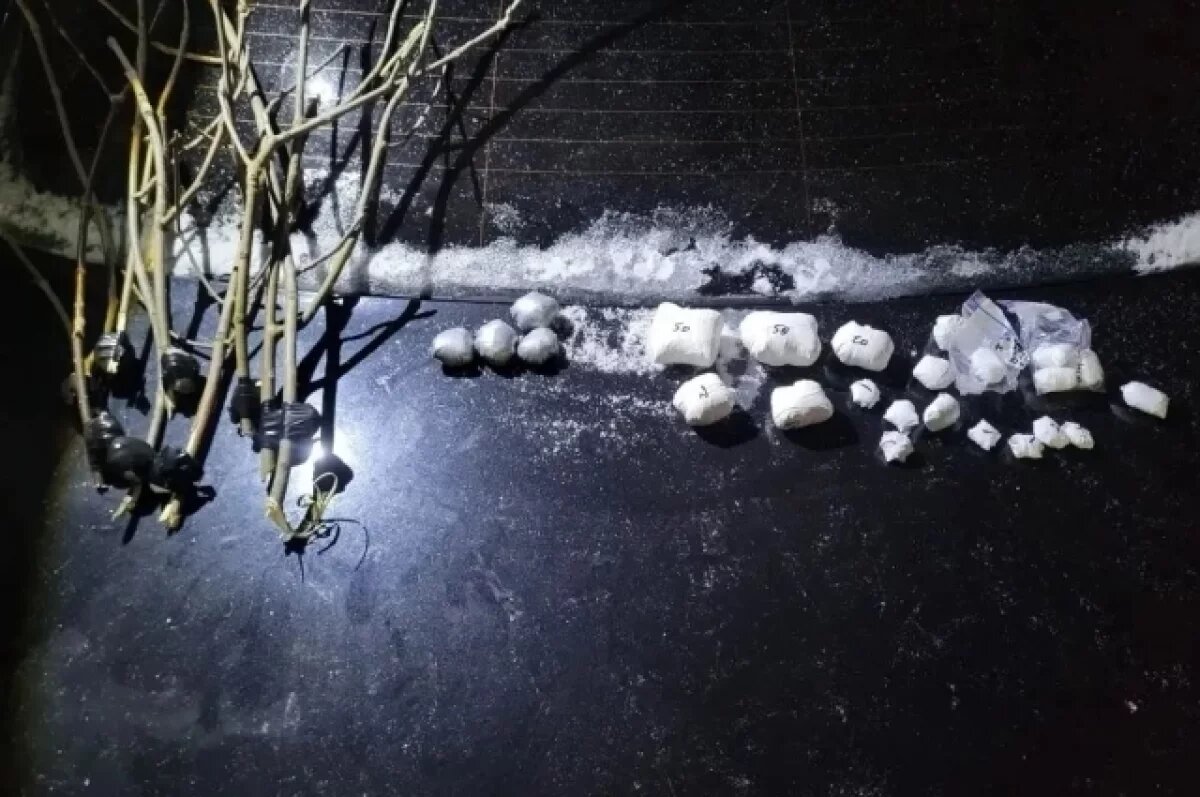    Отсидел 5 лет — и снова с наркотиками: в Муроме задержали наркоторговца