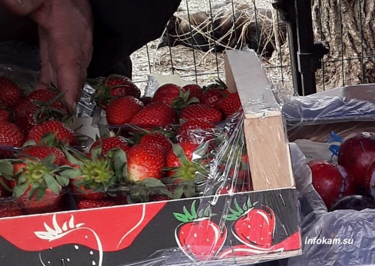    В Камышине продают клубнику по космической цене