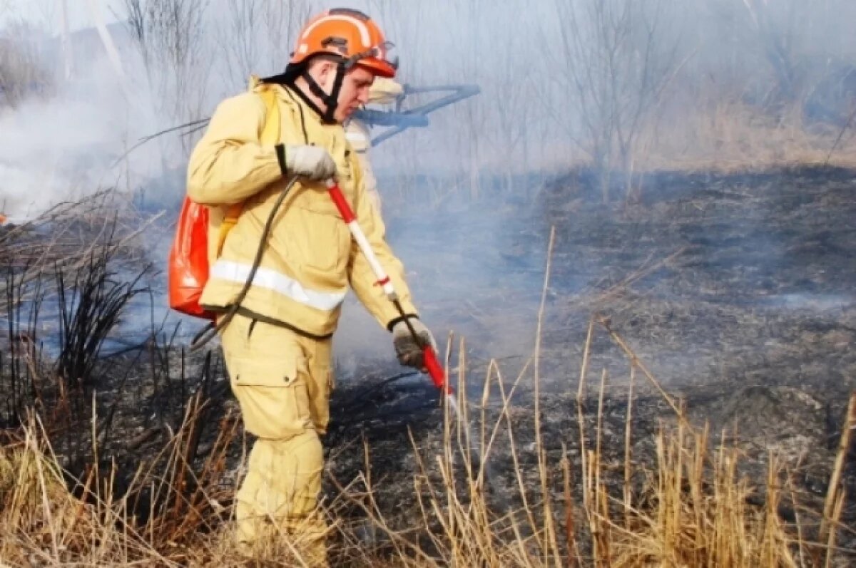    Пожароопасный сезон объявили в шести районах Алтайского края