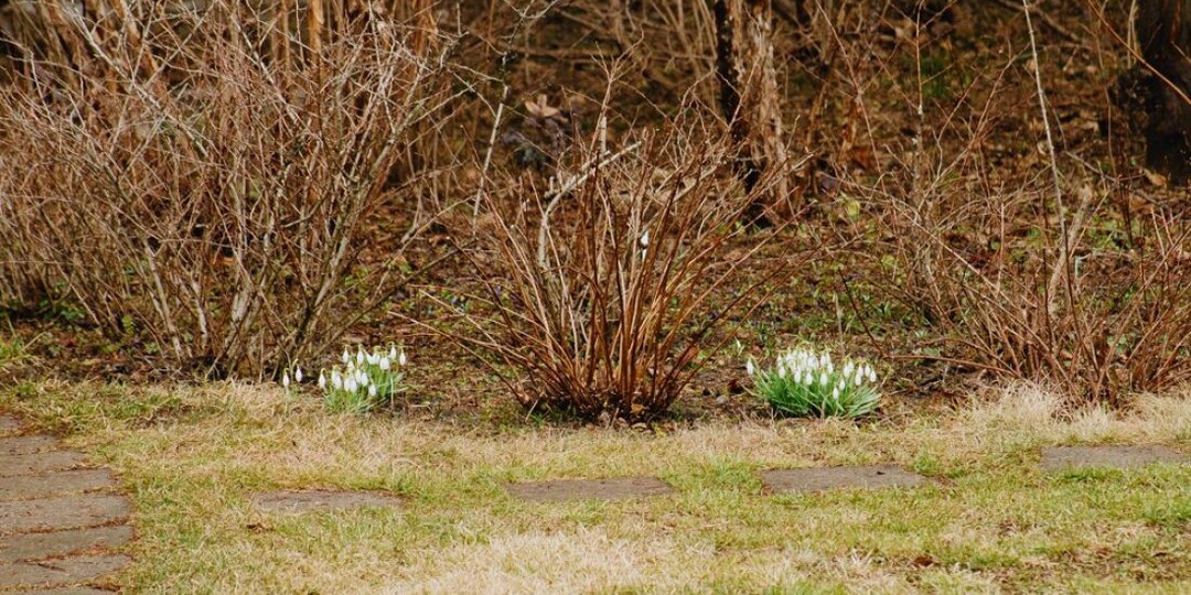 Пензенский Роспотребнадзор сообщил о 26 обращениях по поводу укусов клещей