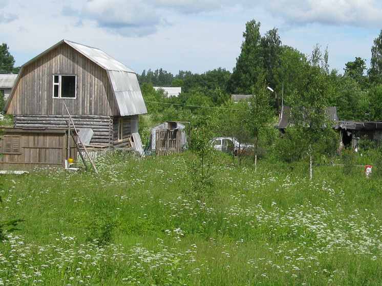     Теперь построить дом на землях сельхозназначения будет значительно сложнее. фото: архив МК в Великом Новгороде / Майя Боржемская