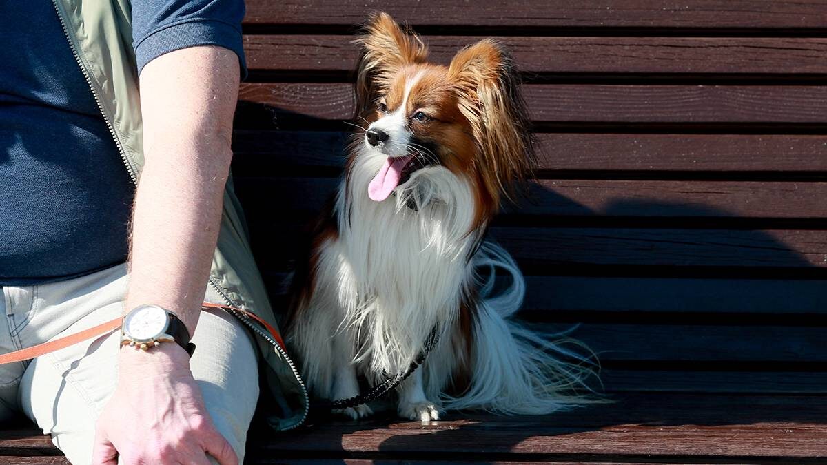    Фото: Василий Кузьмиченок / АГН Москва
