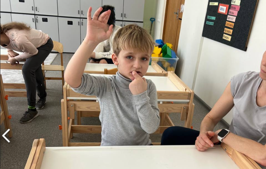 РАС. 8 лет. Проблемы и достижения