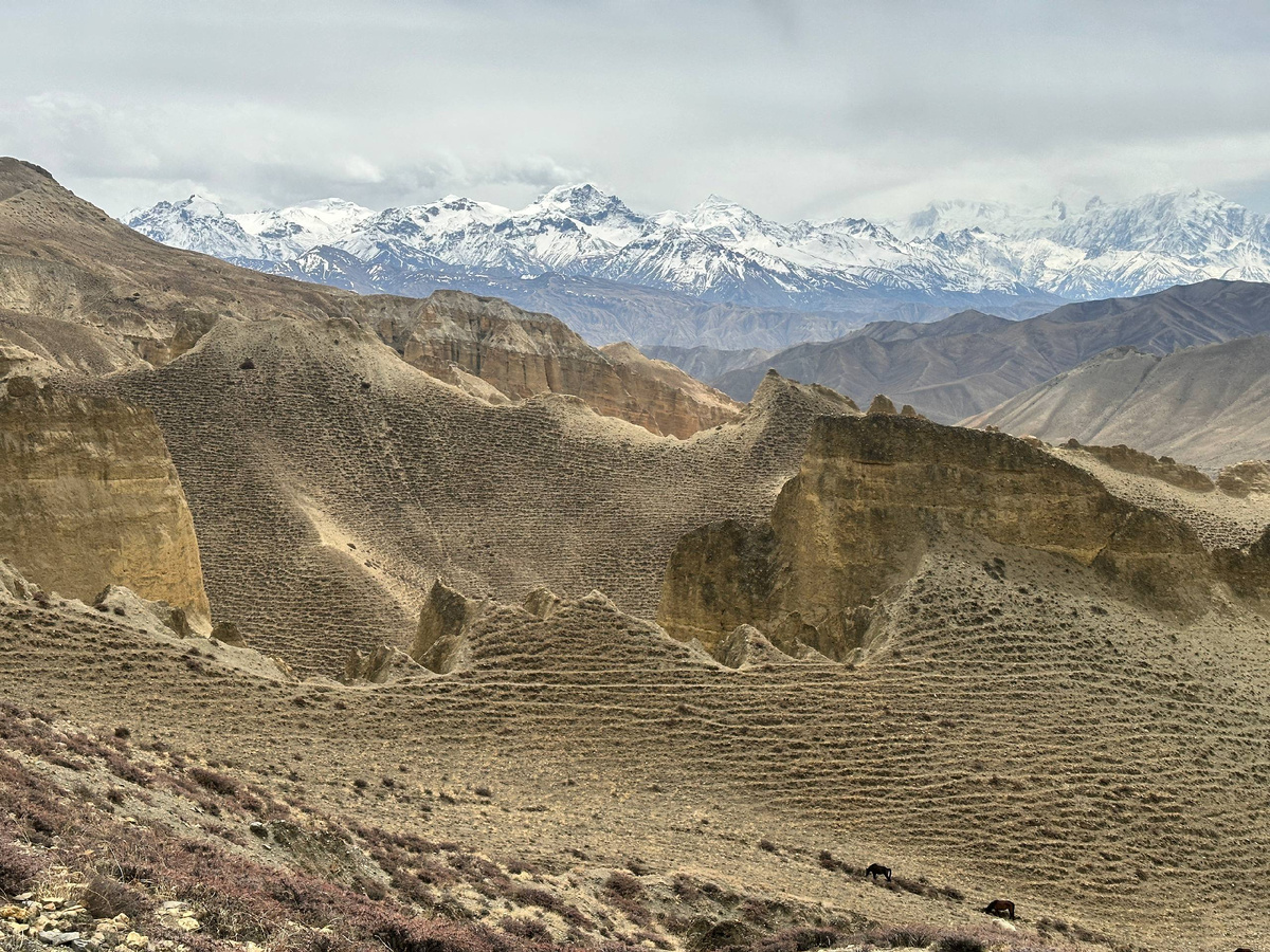 Верхний Мустанг