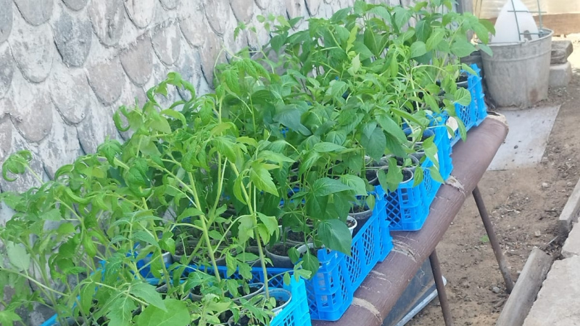    фото smilekaluga.ru