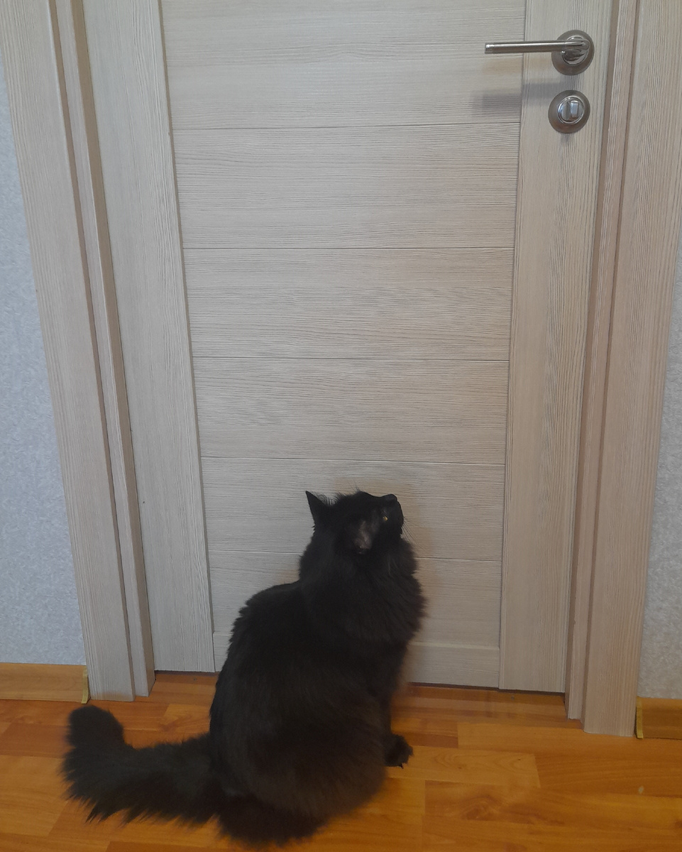 Дверь закрыта — значит, там что-то важное. А если важное — значит, я должен это проверить. 