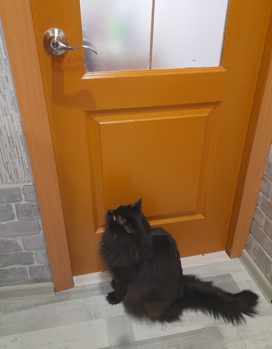 Закрылись там. Что делают? Может, едят? А я голодный. Несправедливо