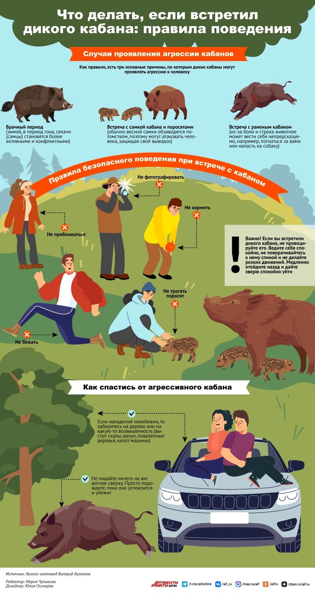    Нажмите для увеличения