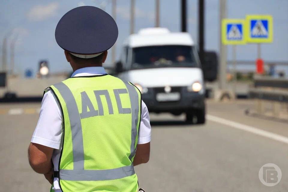    Фото: Дмитрий Рогулин / "Городские вести"