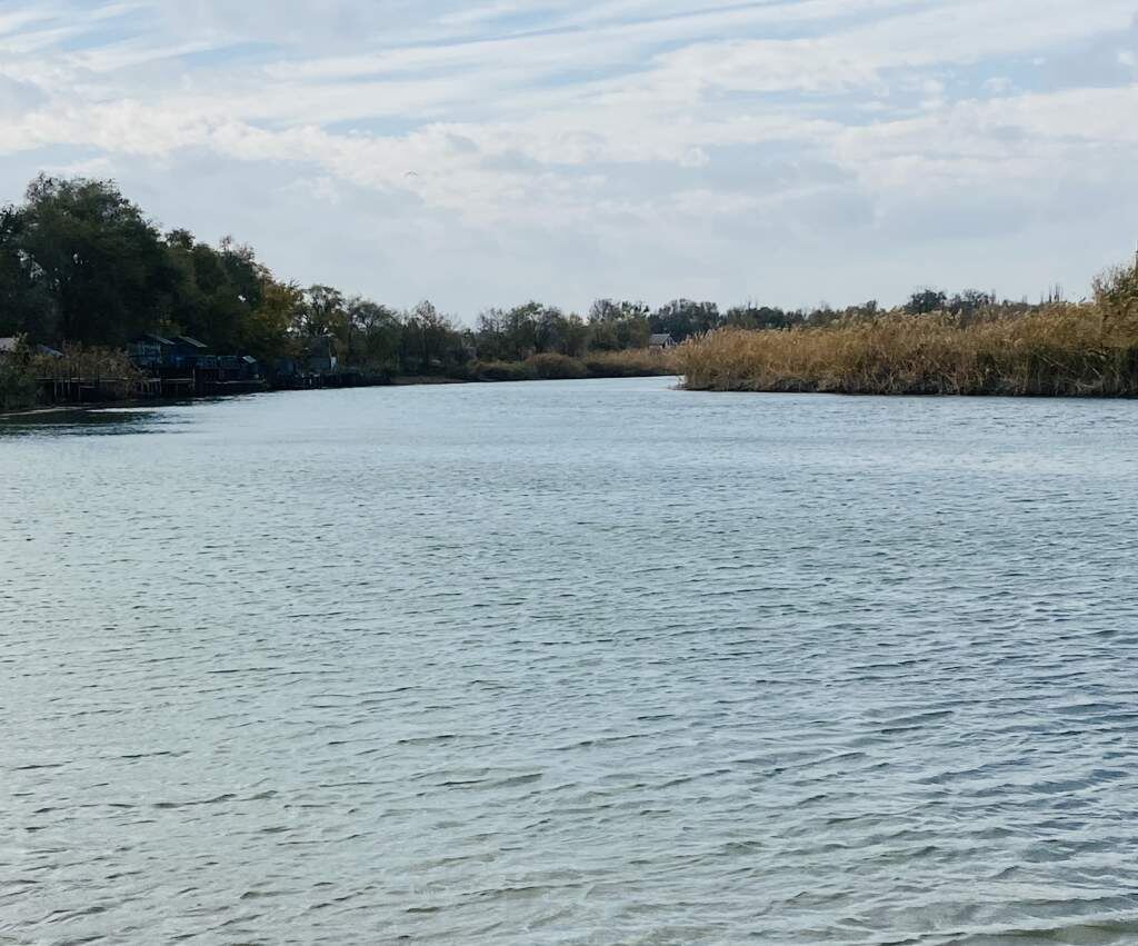    Фото: "Веселовские вести" Веселовские вести