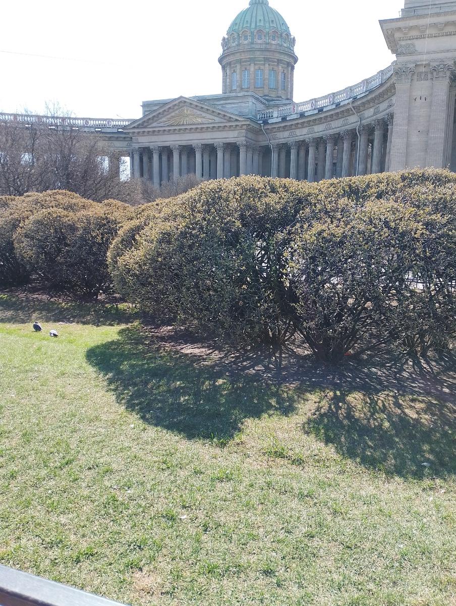 Фото автора сегодня. Казанский кафедральный собор. 