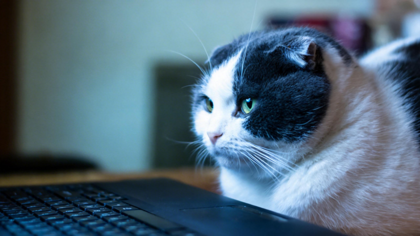    osobystist/Shutterstock/FOTODOM 📷