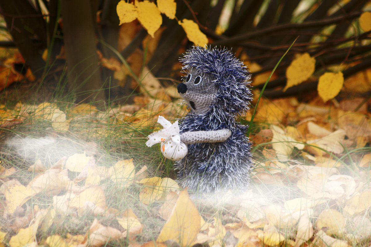 @Hannah Polza/Shutterstock.com 