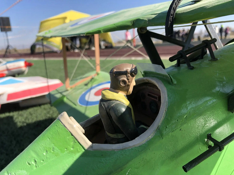     Фото: Максим Бодягин («МК-Челябинск»)