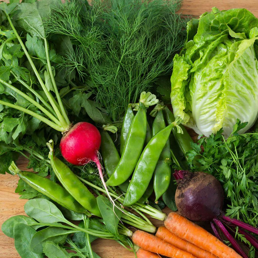 Какие овощи нужно успеть посеять для раннего урожая