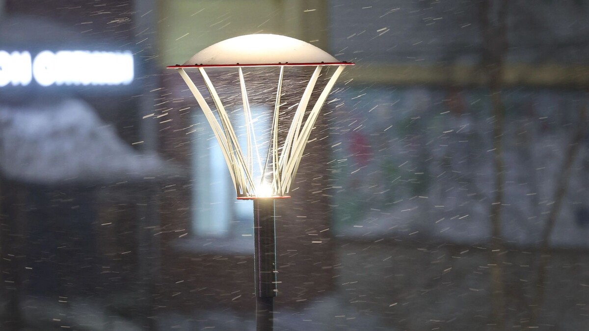    Фото: Андрей Ткачев / «Ямал-Медиа»