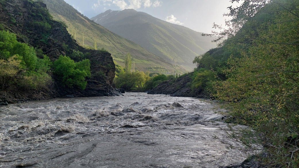Самур