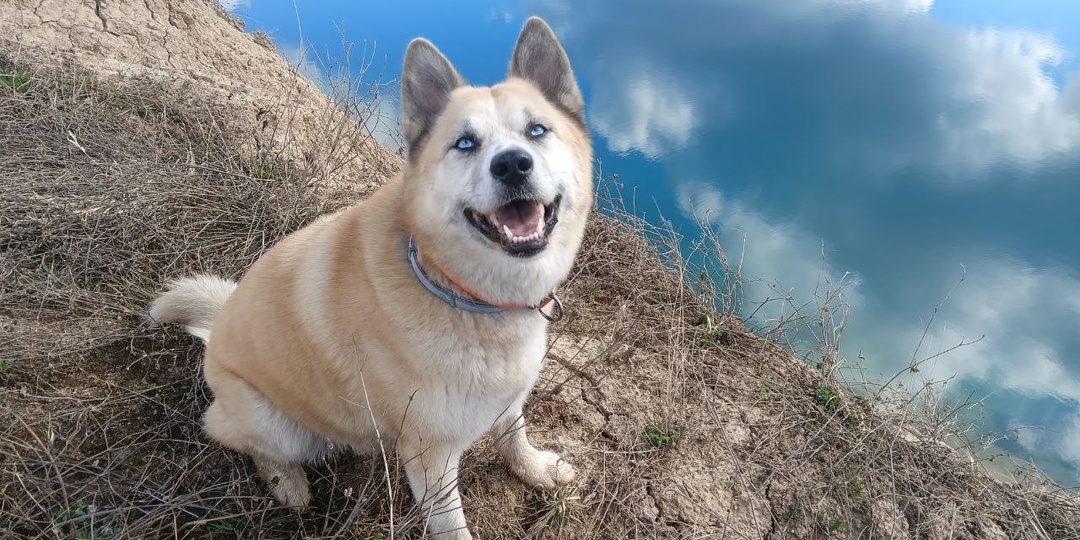 В старый Новый год Лорд искал еду в помойках Курска, а сегодня он звезда Питера