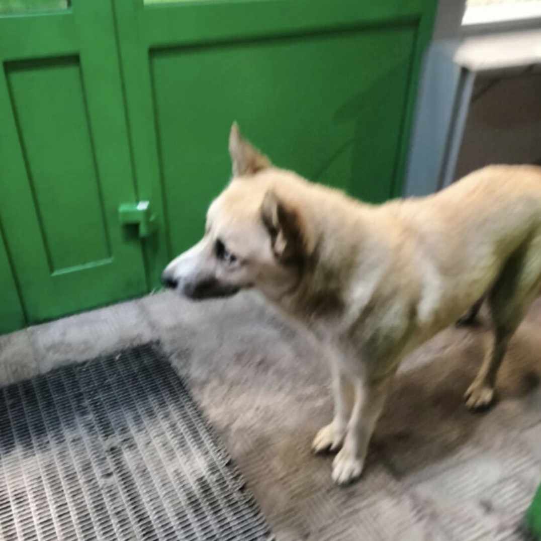 Лордик в тот самый день у супермаркета 