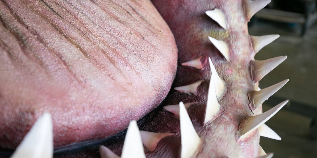 Зубной конвейер океана: почему у акулы несколько рядов зубов вместо одного