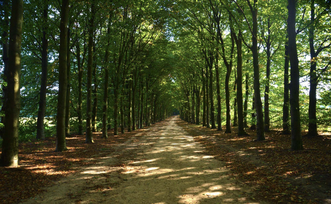    © https://pxhere.com/ru/photo/986645