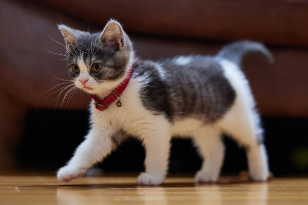 makieni/Shutterstock/FOTODOM   📷