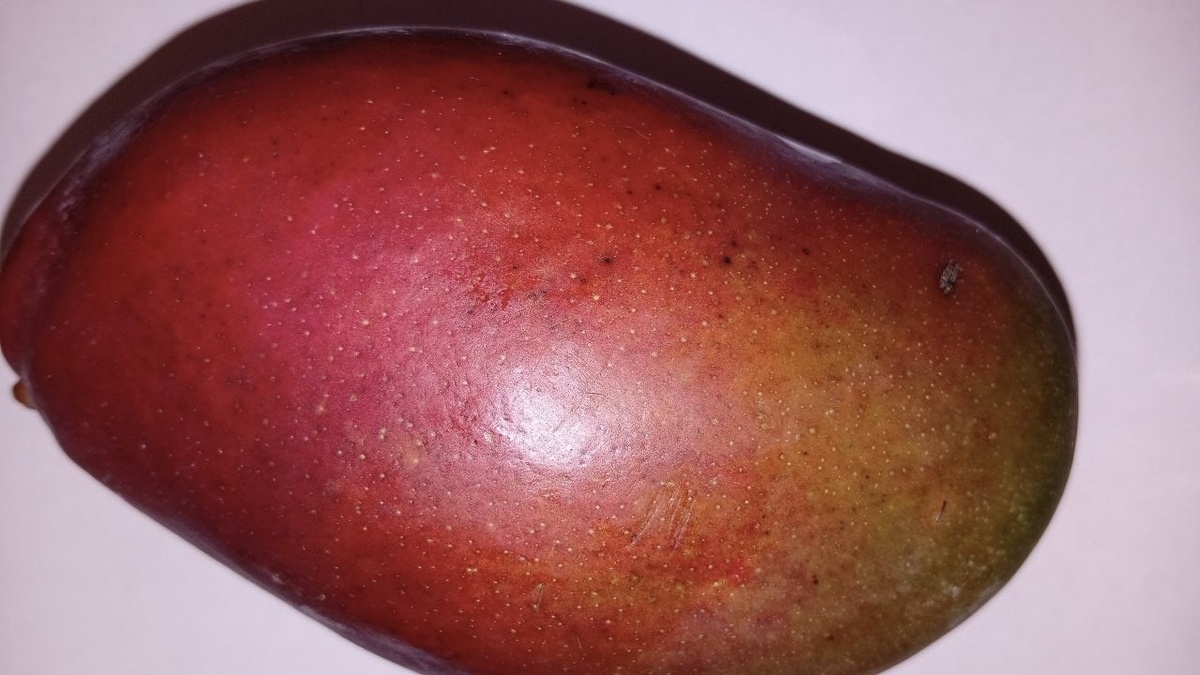 Манго (то самое, тёмно-вишнёвое)