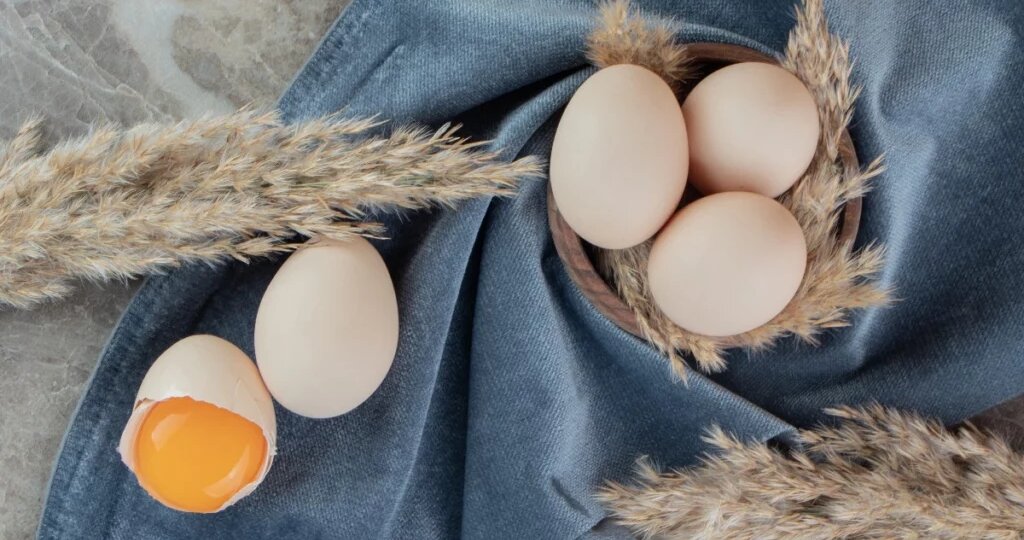 Сколько хранятся варёные яйца — и как их правильно варить