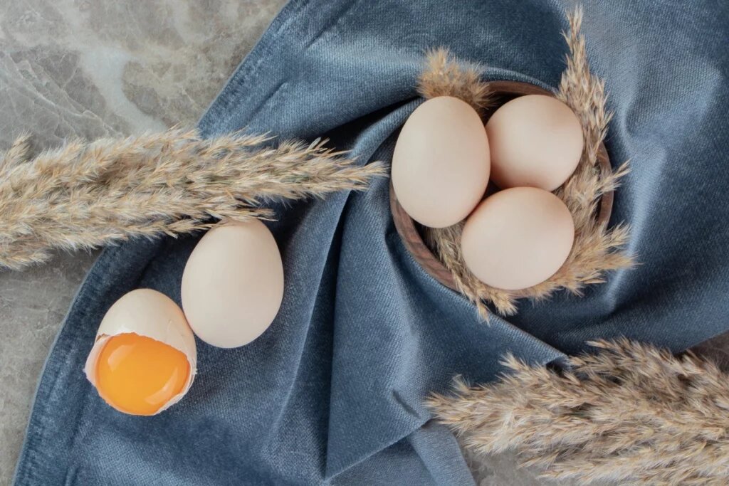 фото: freepik.com