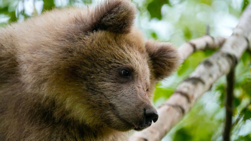    Фото: Роспотребнадзор