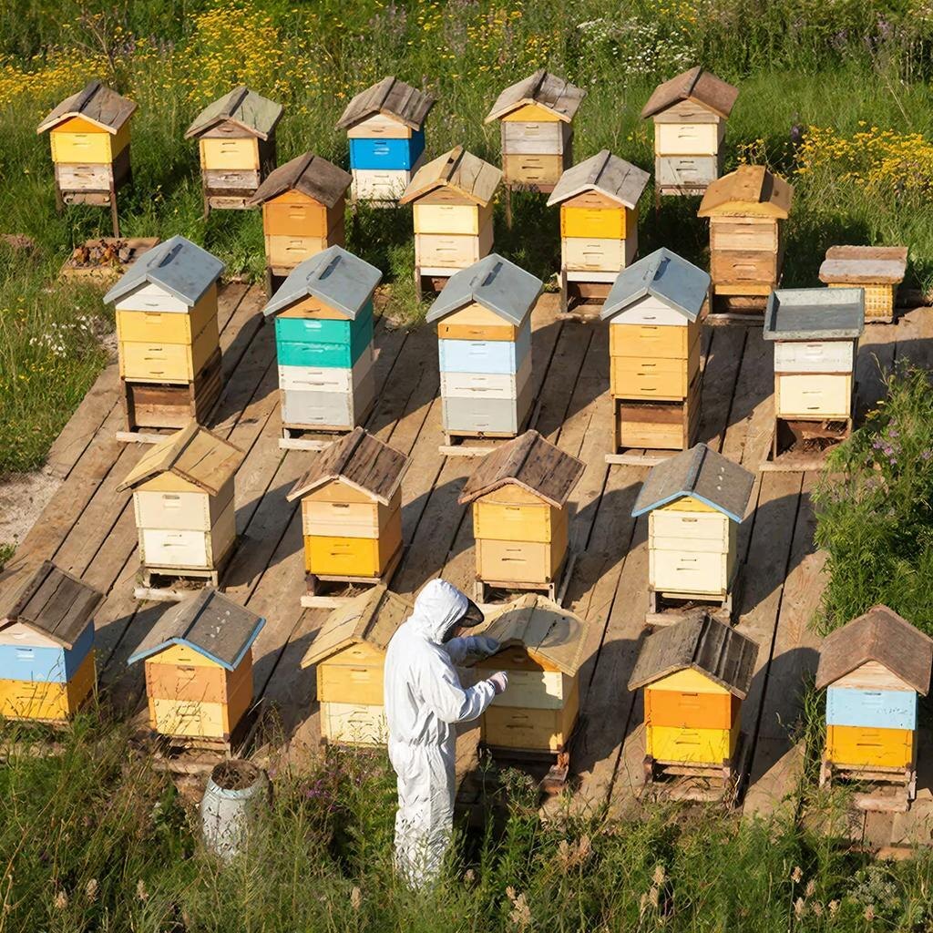 Изображение сгенерировано сервисом GigaChat 