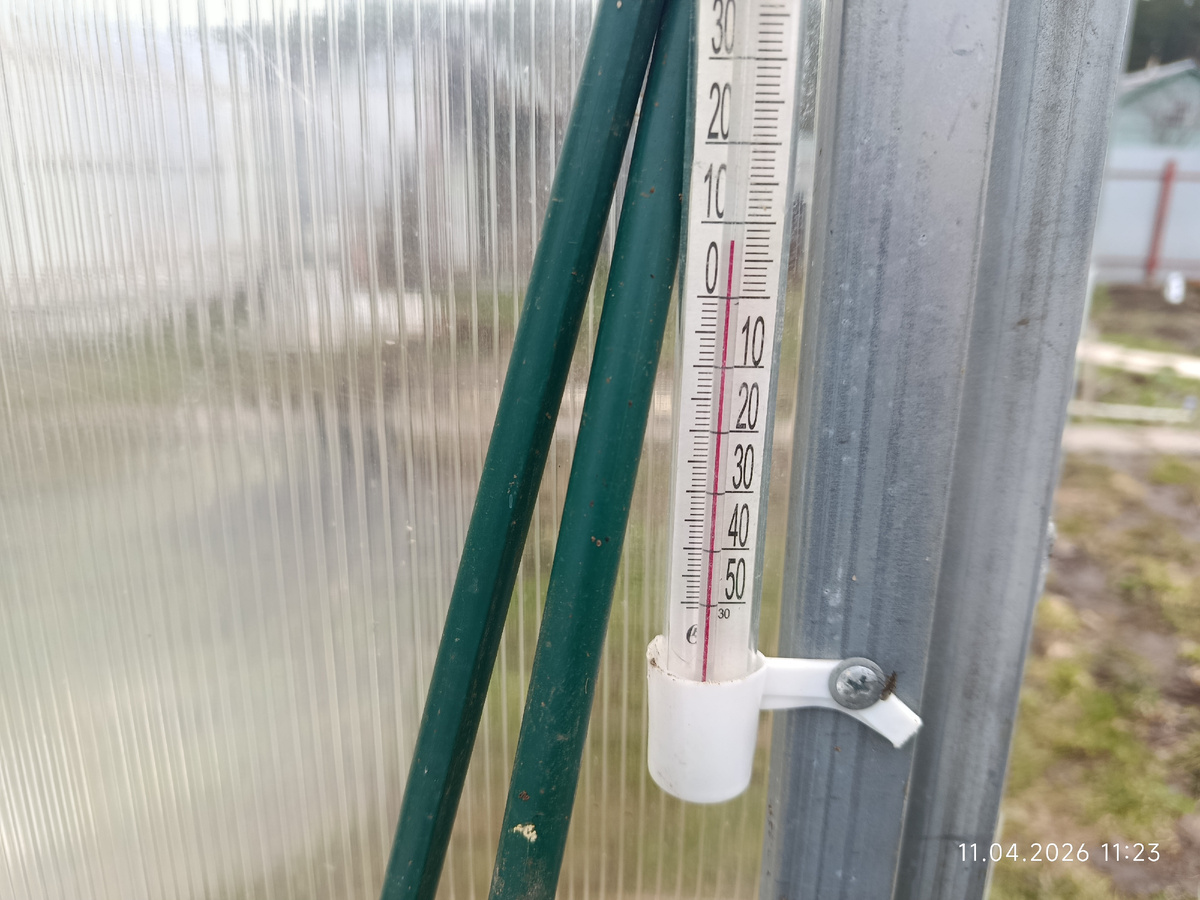 Время 11.23, в теплице +8