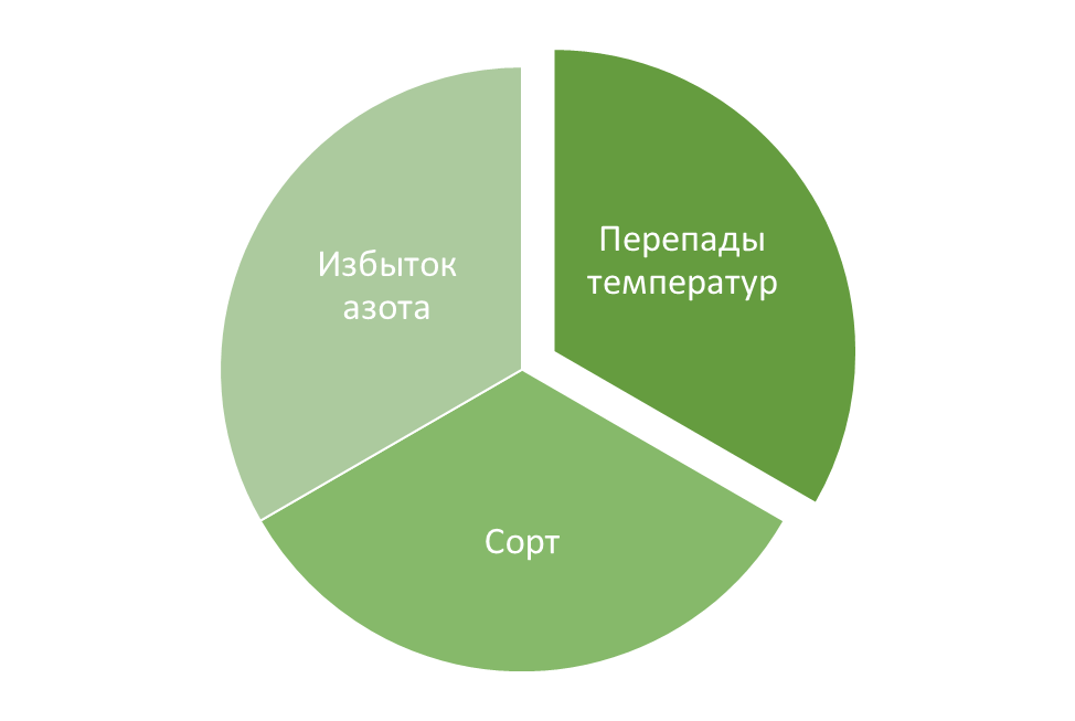 Три причины отсутствия завязей у сеянцев тыквы