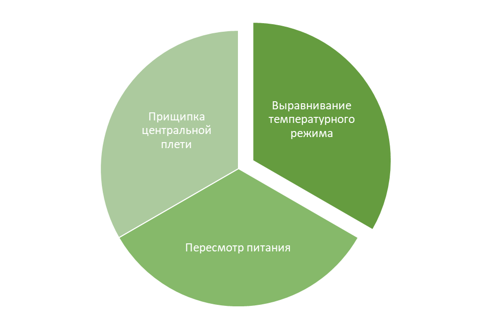 Что делать при отсутствии завязей у рассады тыквы