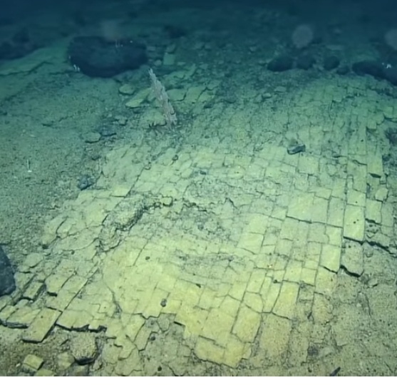 Жёлтая дорога на дне океана. Что нашли на глубине километра у берегов Гавайев