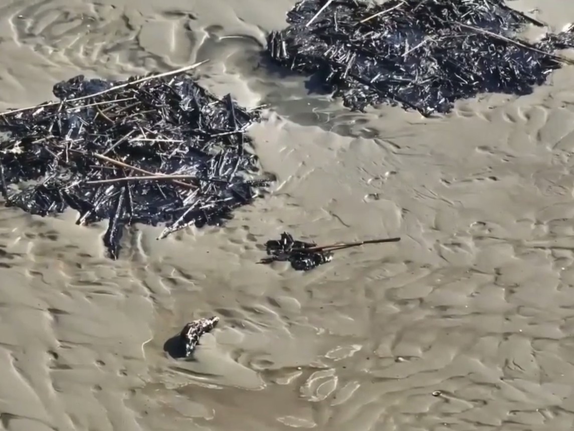    Telegram / Эконадзор Ленобласти