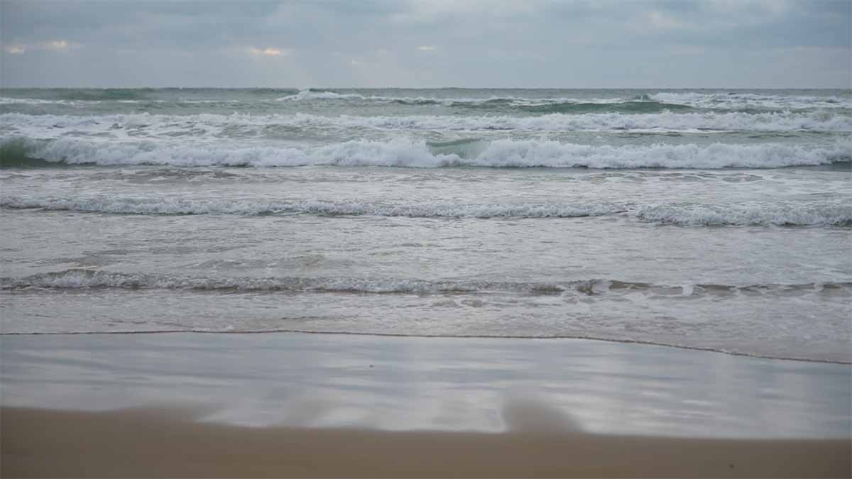    Фото «Кубань 24»